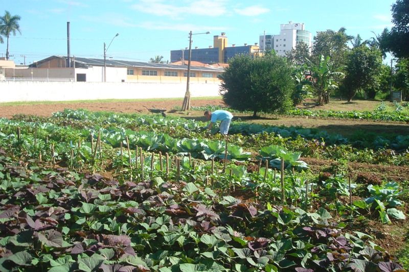 INSTITUIÇÃO LAR FABIANO DE CRISTO 